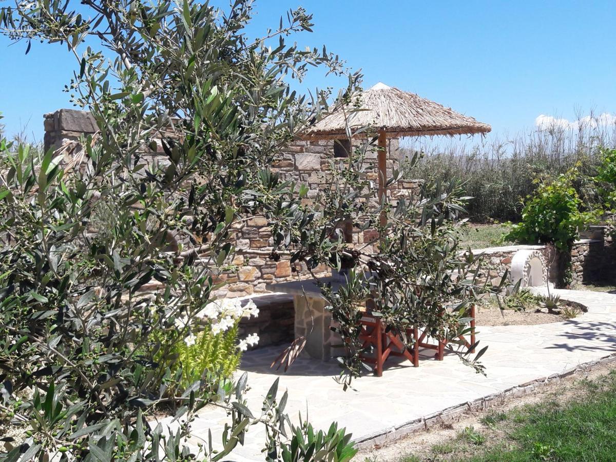 Elpidas Studios Agia Anna  Exteriér fotografie