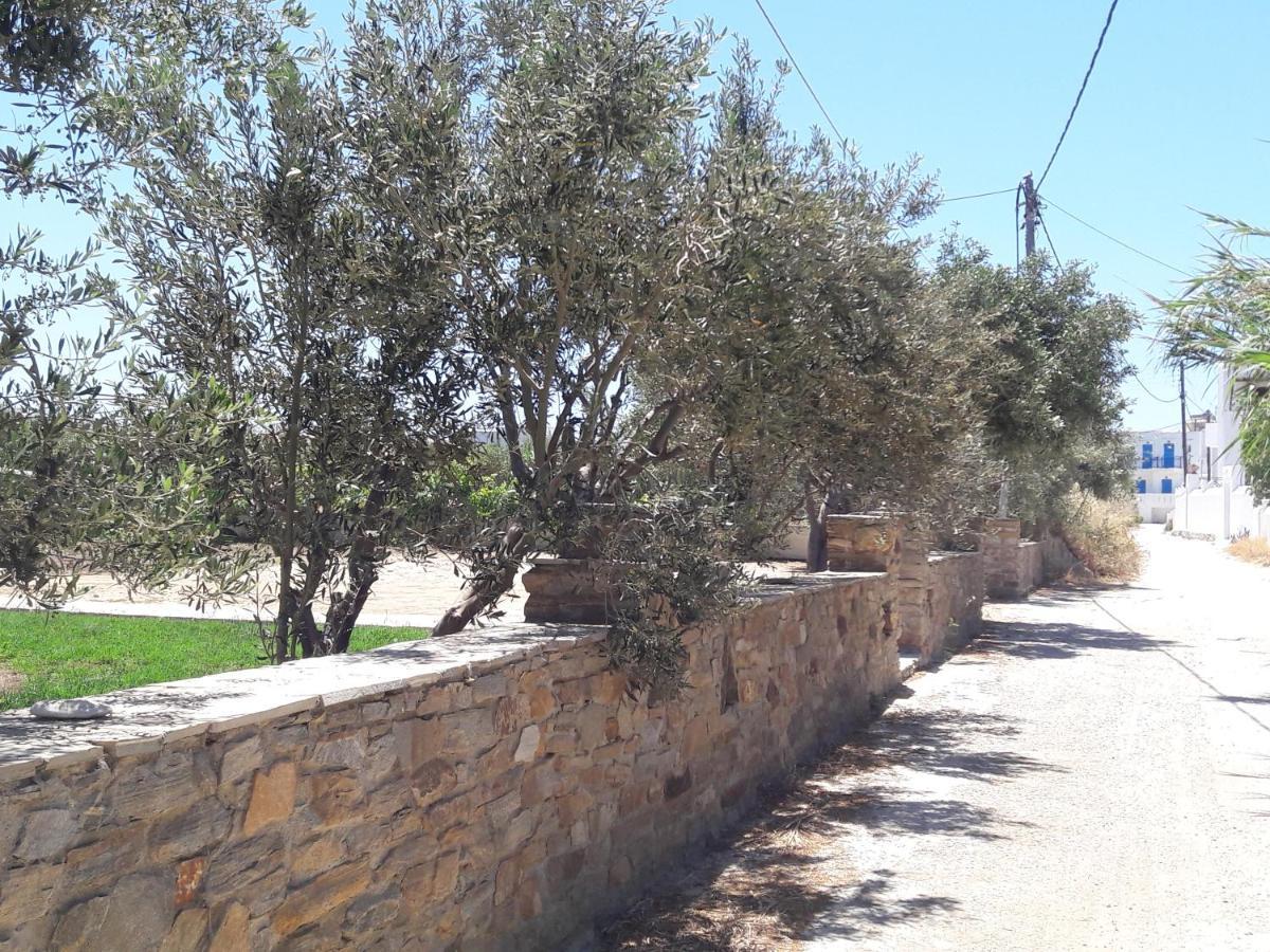 Elpidas Studios Agia Anna  Exteriér fotografie