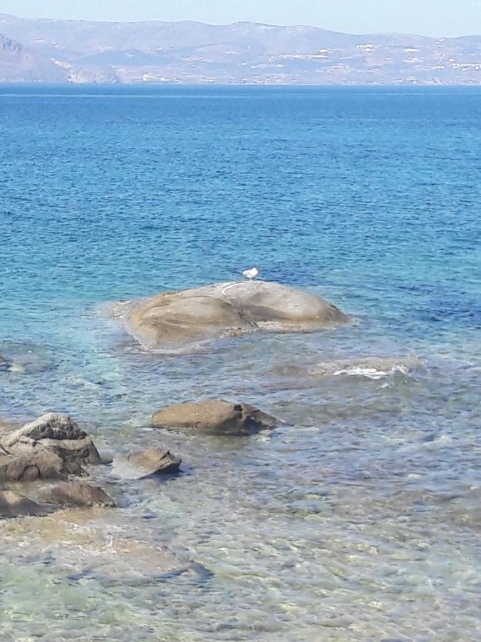 Elpidas Studios Agia Anna  Exteriér fotografie