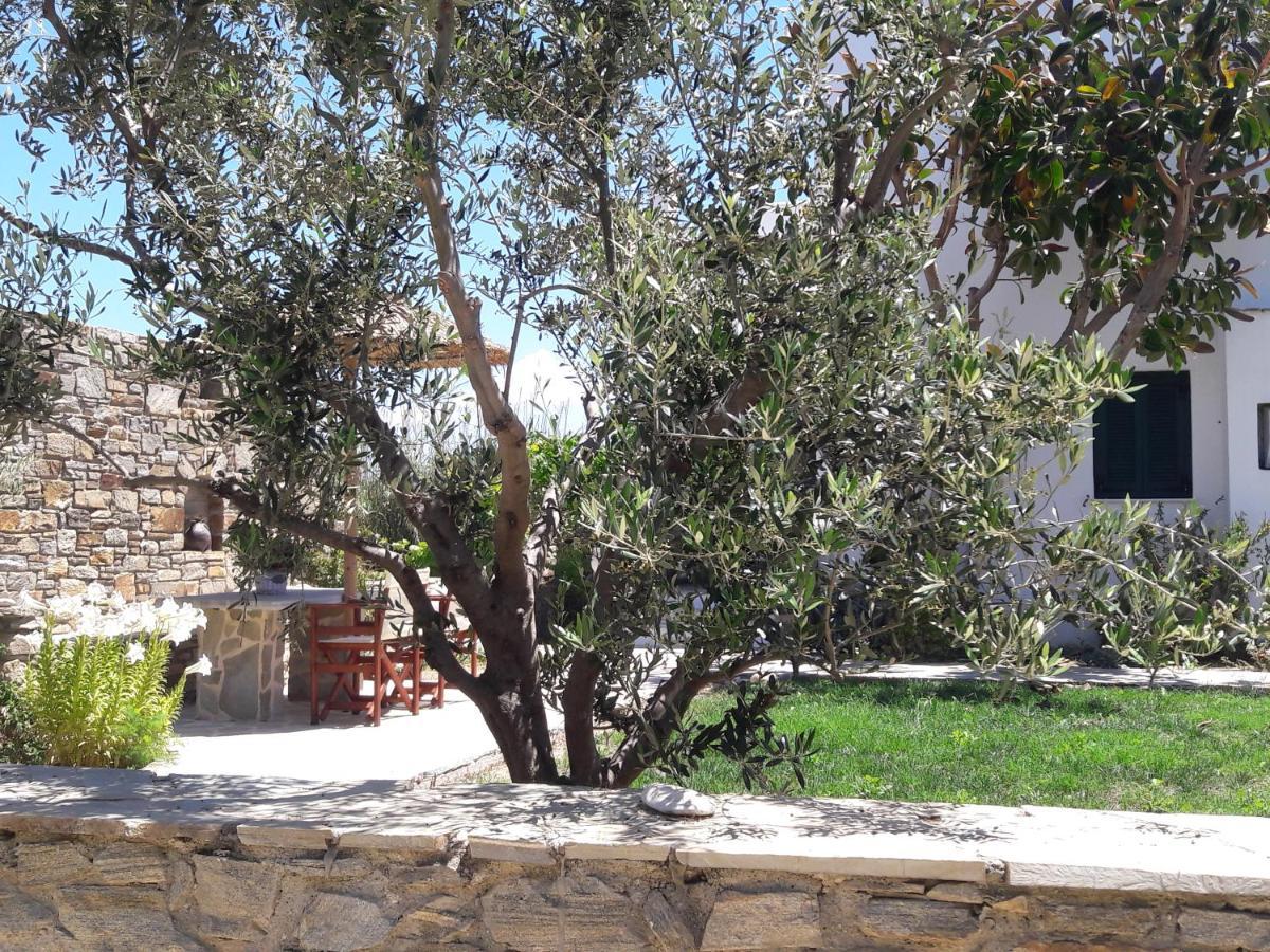 Elpidas Studios Agia Anna  Exteriér fotografie