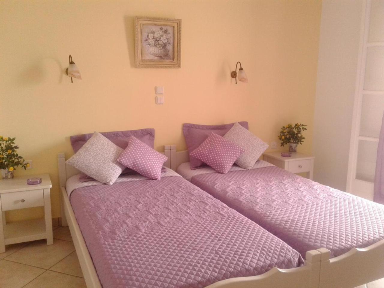Elpidas Studios Agia Anna  Exteriér fotografie